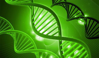 湘西州政协建言献策，助力生物科技产业创新发展