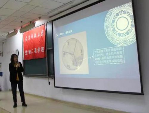 当科学遇见艺术 第五届微生物培养皿艺术大赛校园赛天津科技大学站精彩呈现