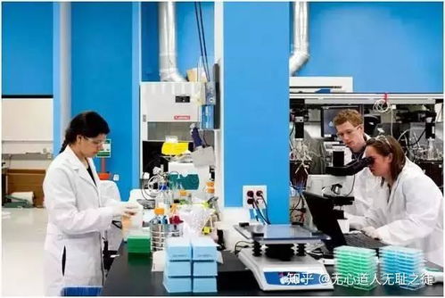 人造大脑与上帝之手 合成生物学引领的第三次生物科技革命